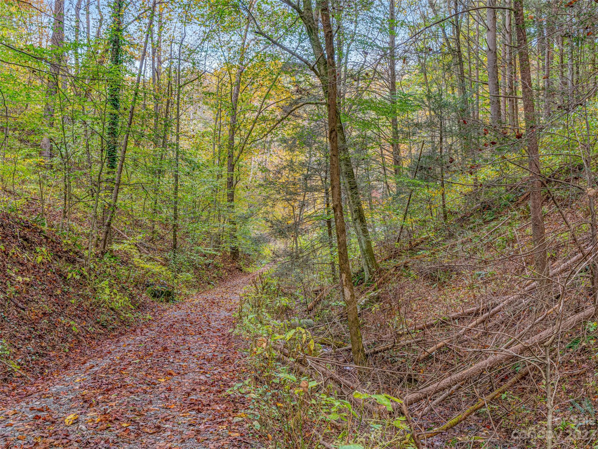 693 Sharp Hollow Road Marshall, NC 28753 - Photo 36 of 46 a view of a yard with plants and trees
