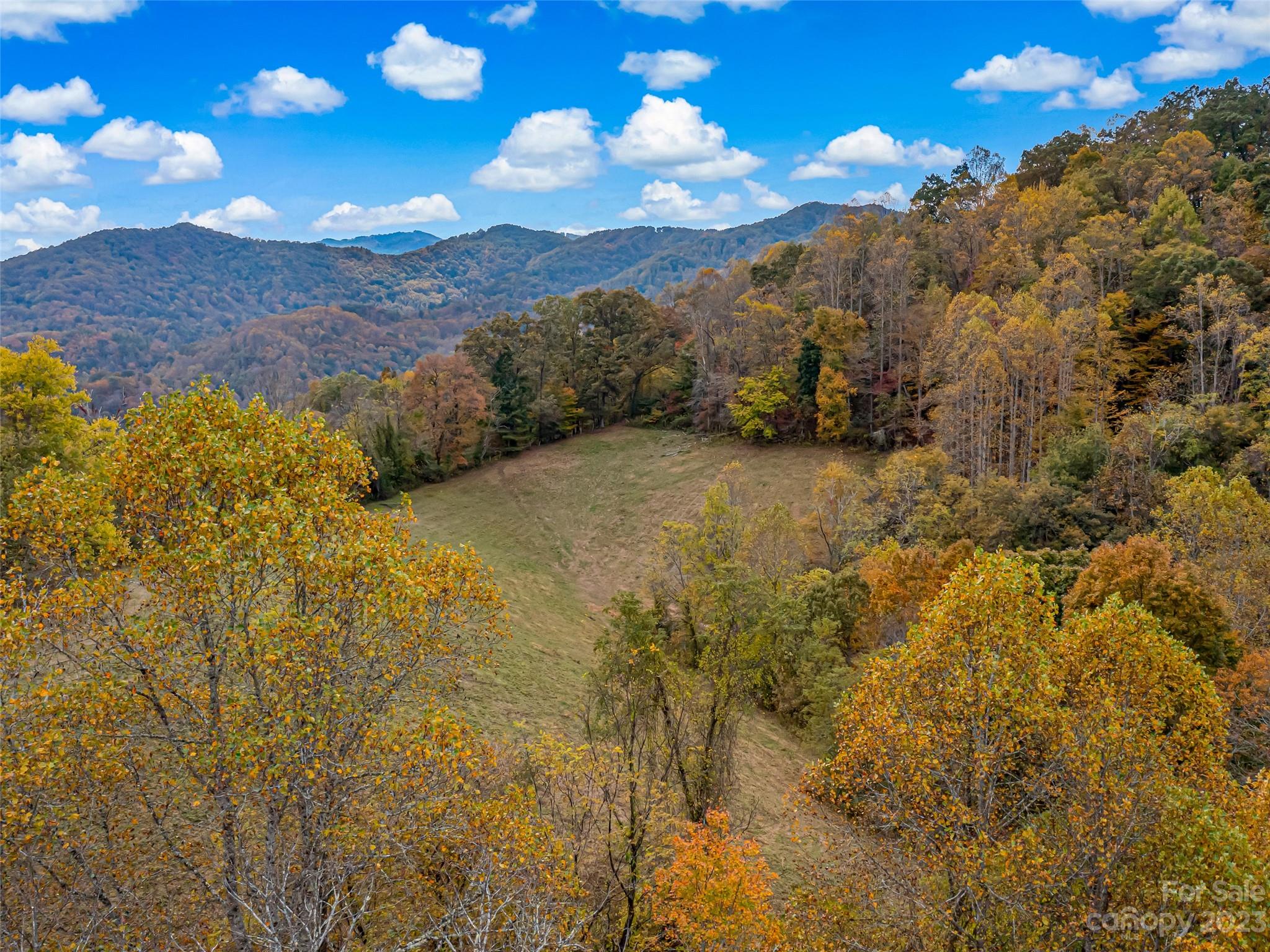693 Sharp Hollow Road Marshall, NC 28753 - Photo 4 of 46 a view of lake with mountain