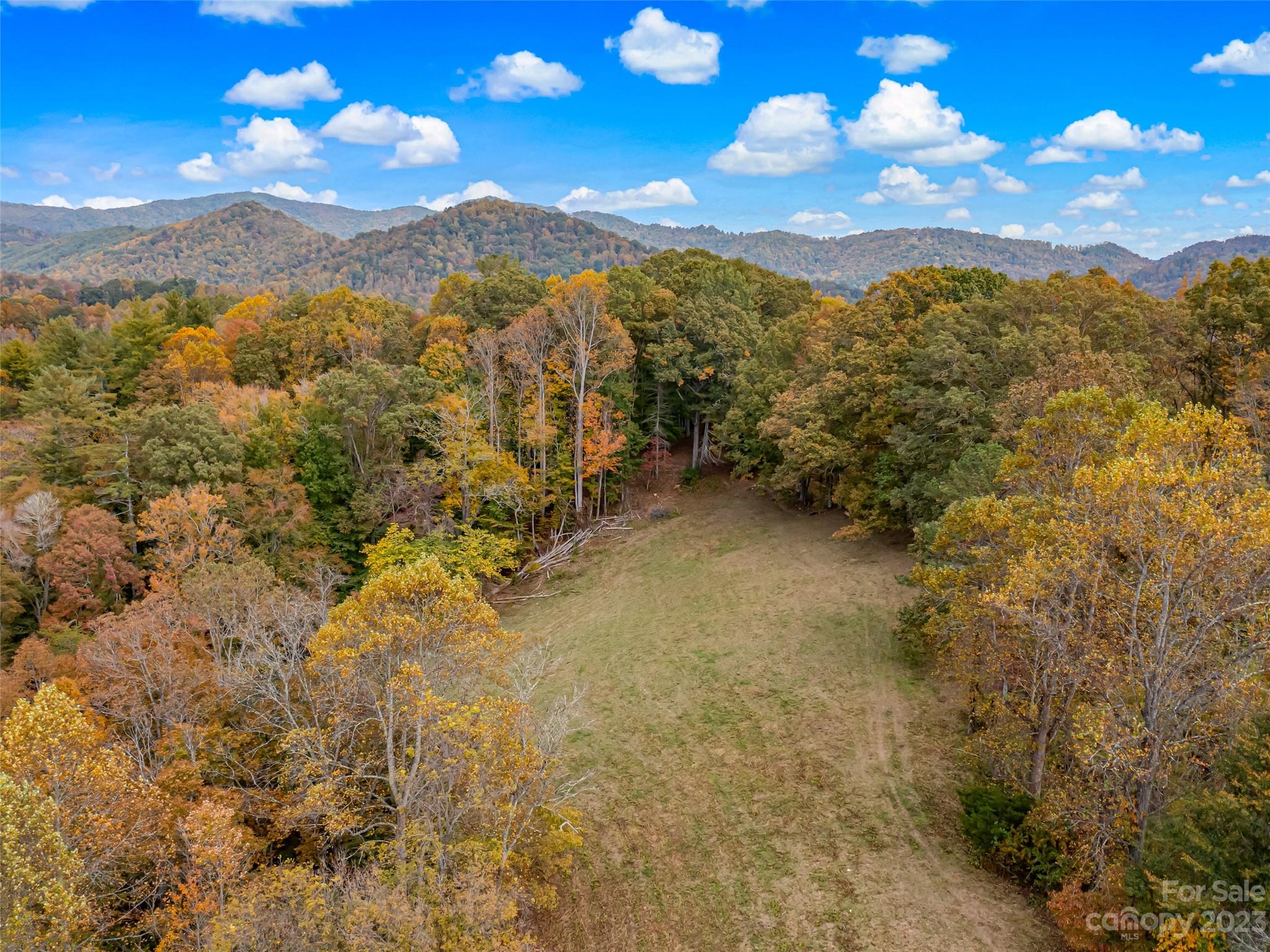 693 Sharp Hollow Road Marshall, NC 28753 - Photo 5 of 46 a view of a houses with mountains in the background