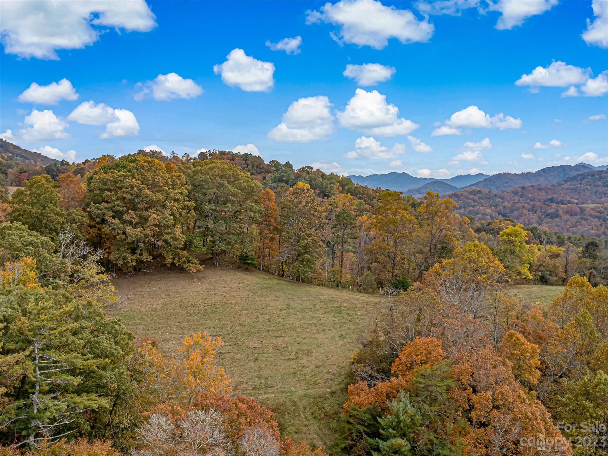 693 Sharp Hollow Road Marshall, NC 28753 - Photo 6 of 46 a view of a lake in middle of forest