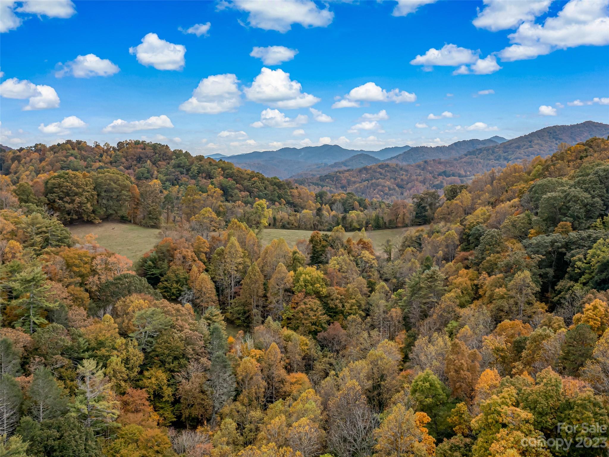 693 Sharp Hollow Road Marshall, NC 28753 - Photo 7 of 46 a view of a city