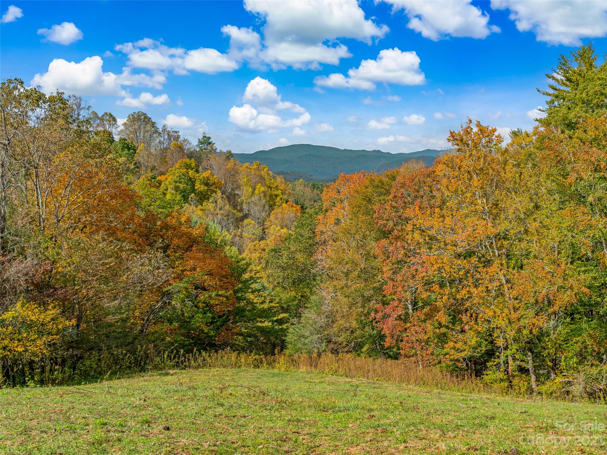 693 Sharp Hollow Road Marshall, NC 28753 - Photo 9 of 46 a view of a lake
