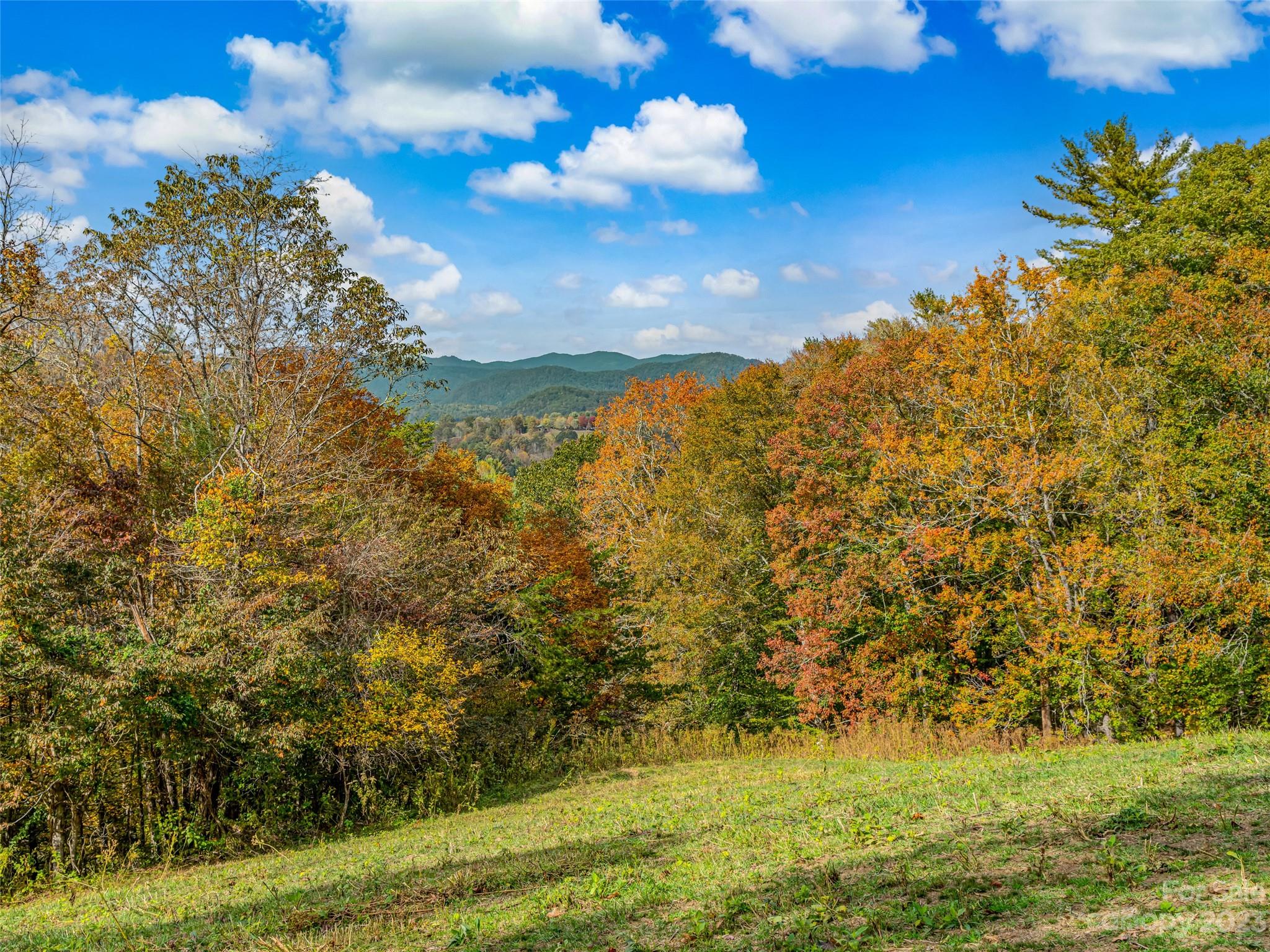 693 Sharp Hollow Road Marshall, NC 28753 - Photo 10 of 46 a view of a lake