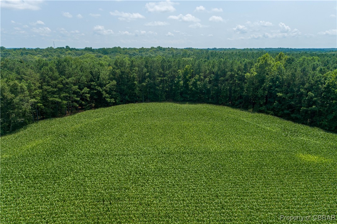 0 County Line Road Saluda, VA 23149 - Photo 33 of 36 Fabulous property for horses & livestock.