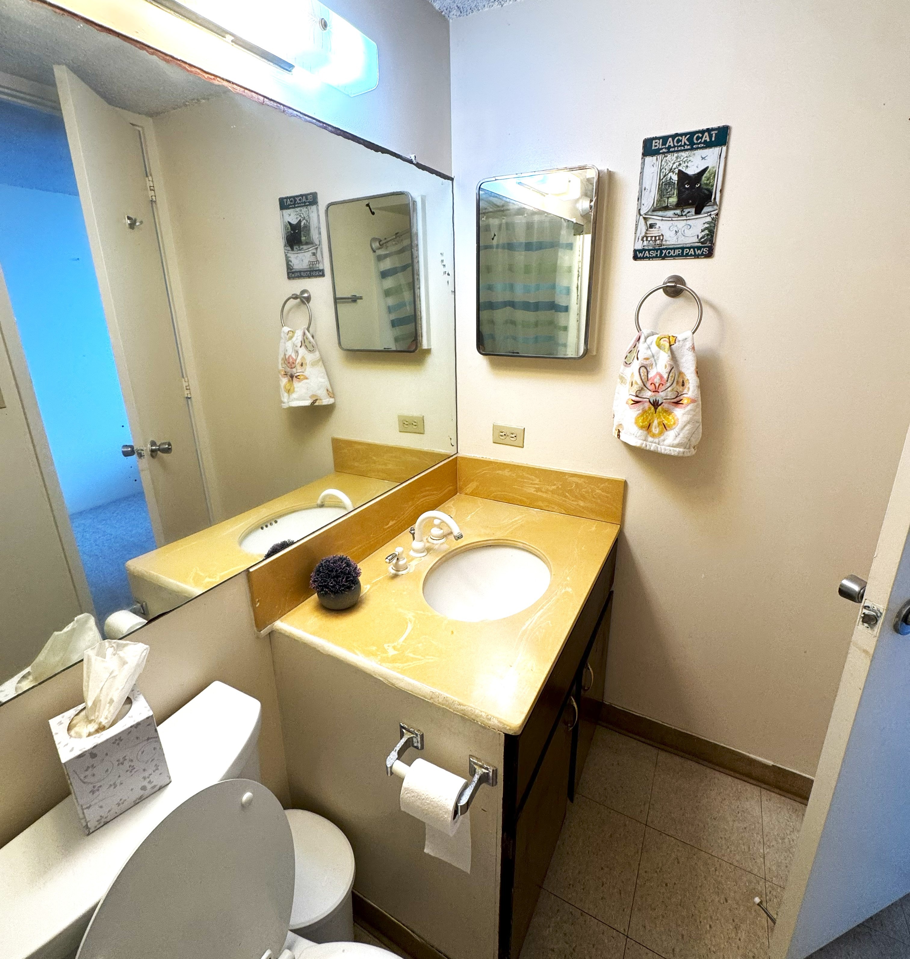 84 Pukihae Street, Unit 404 Hilo, HI 96720 - Photo 8 of 16 a bathroom with a sink and mirror with toilet