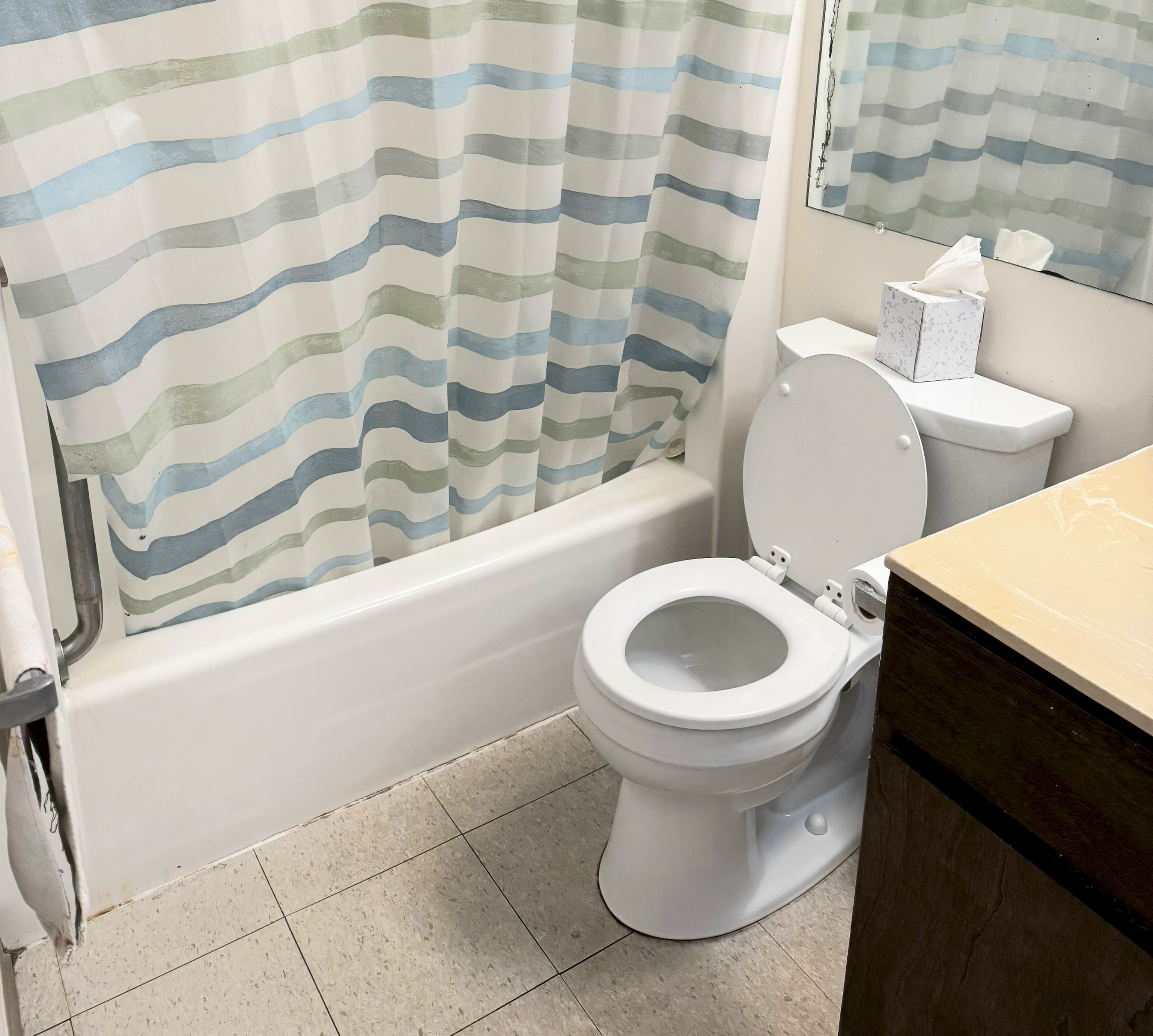 84 Pukihae Street, Unit 404 Hilo, HI 96720 - Photo 9 of 16 a white toilet sitting next to a shower curtain