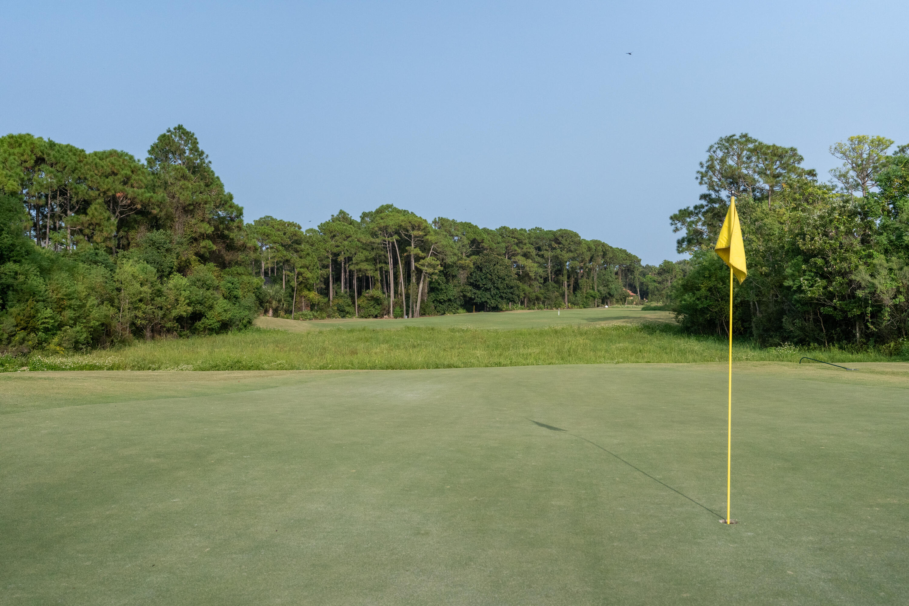 428 Captains Circle Destin, FL 32541 - Photo 57 of 88 a view of a field with an tree