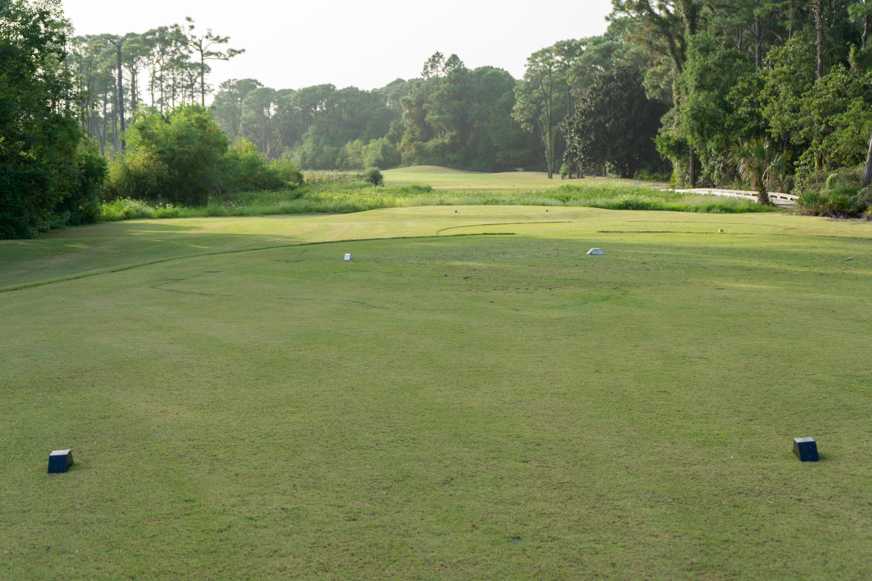 428 Captains Circle Destin, FL 32541 - Photo 87 of 88 a view of a field with trees in the background