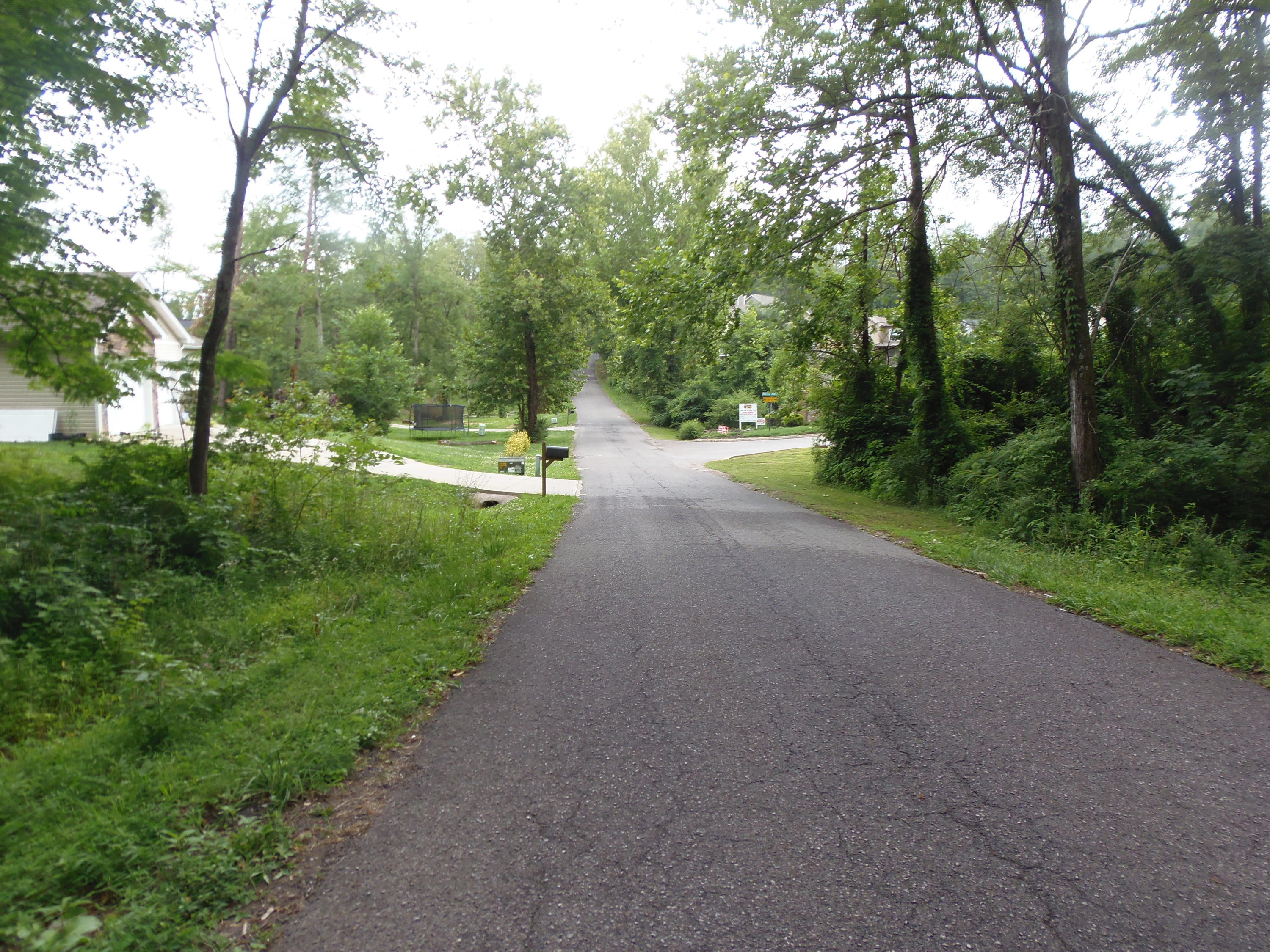 7807 Stanley Road Powell, TN 37849 - Photo 7 of 7 SUBDIVISION STREET VIEW
