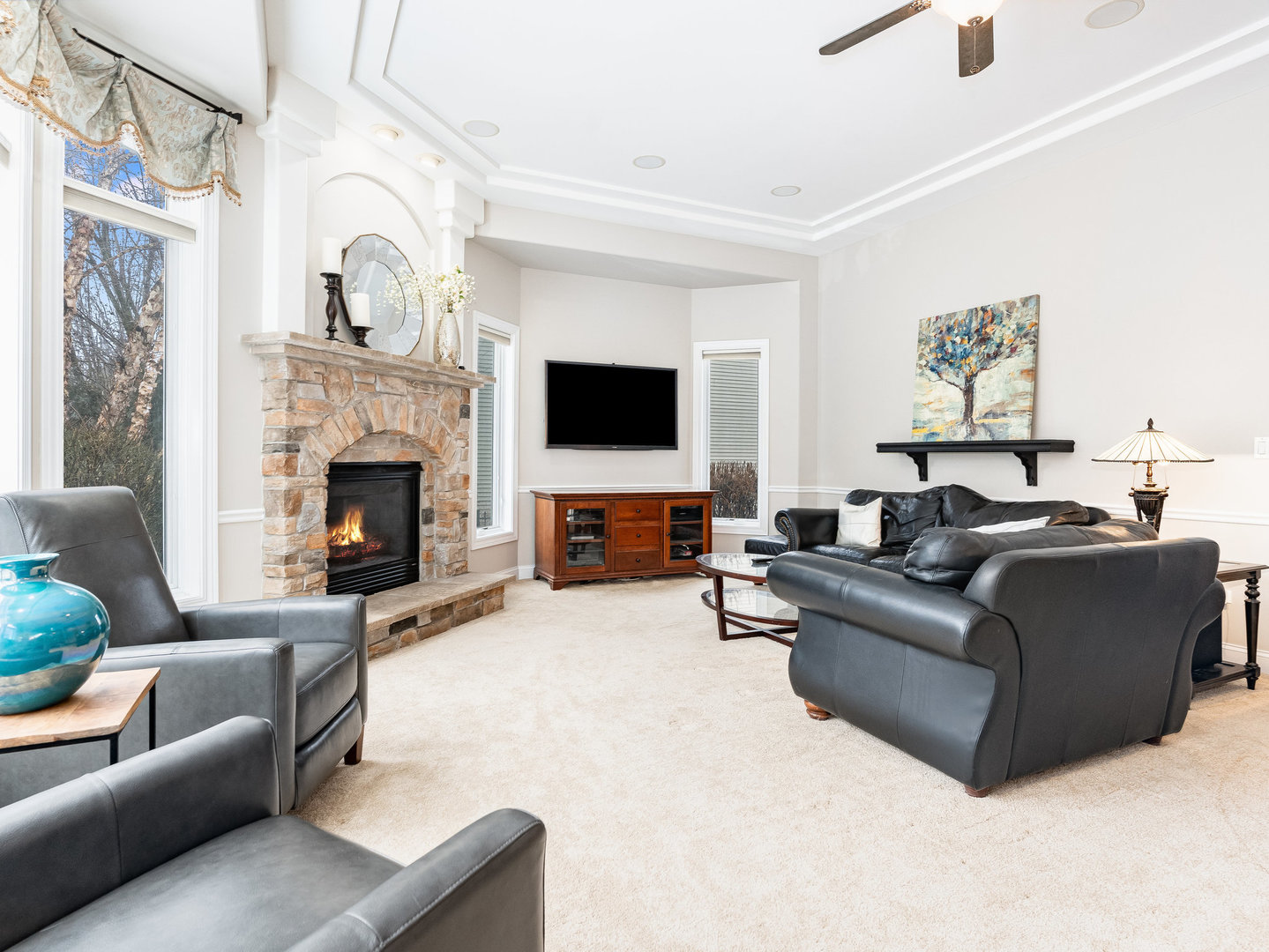 2223 Spartina Lane Naperville, IL 60564 - Photo 16 of 48 a living room with furniture a fireplace and a flat screen tv