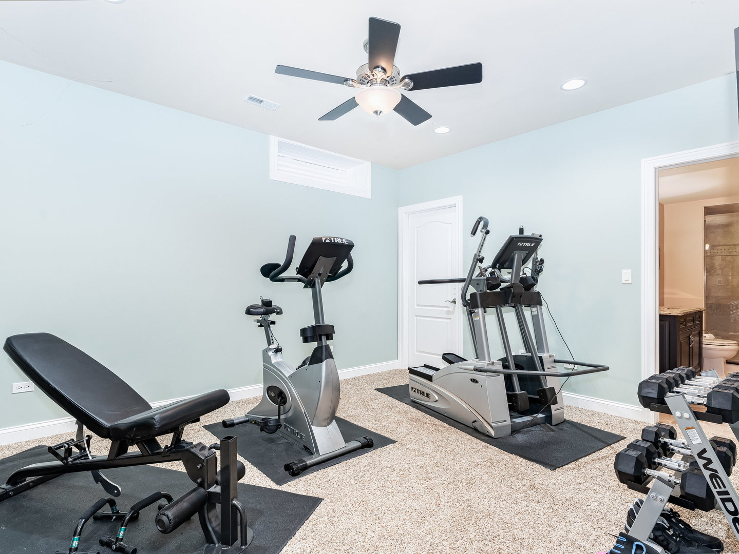 2223 Spartina Lane Naperville, IL 60564 - Photo 38 of 48 a view of a room with gym equipment