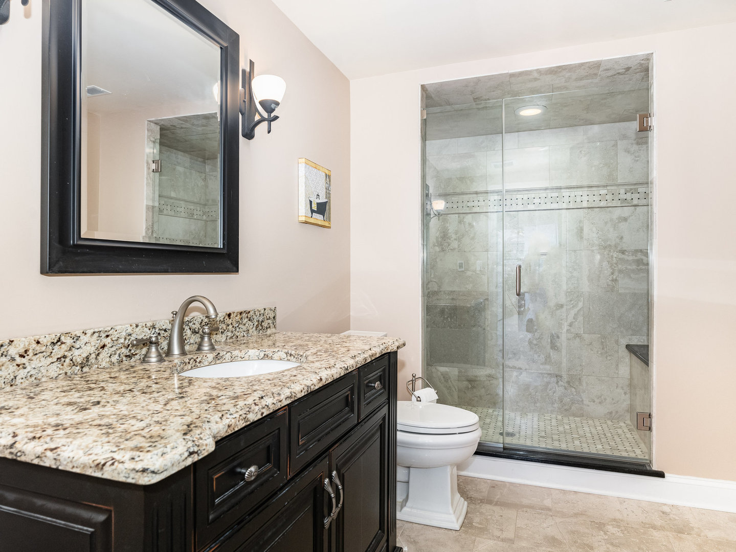2223 Spartina Lane Naperville, IL 60564 - Photo 40 of 48 a bathroom with a granite countertop sink toilet and shower
