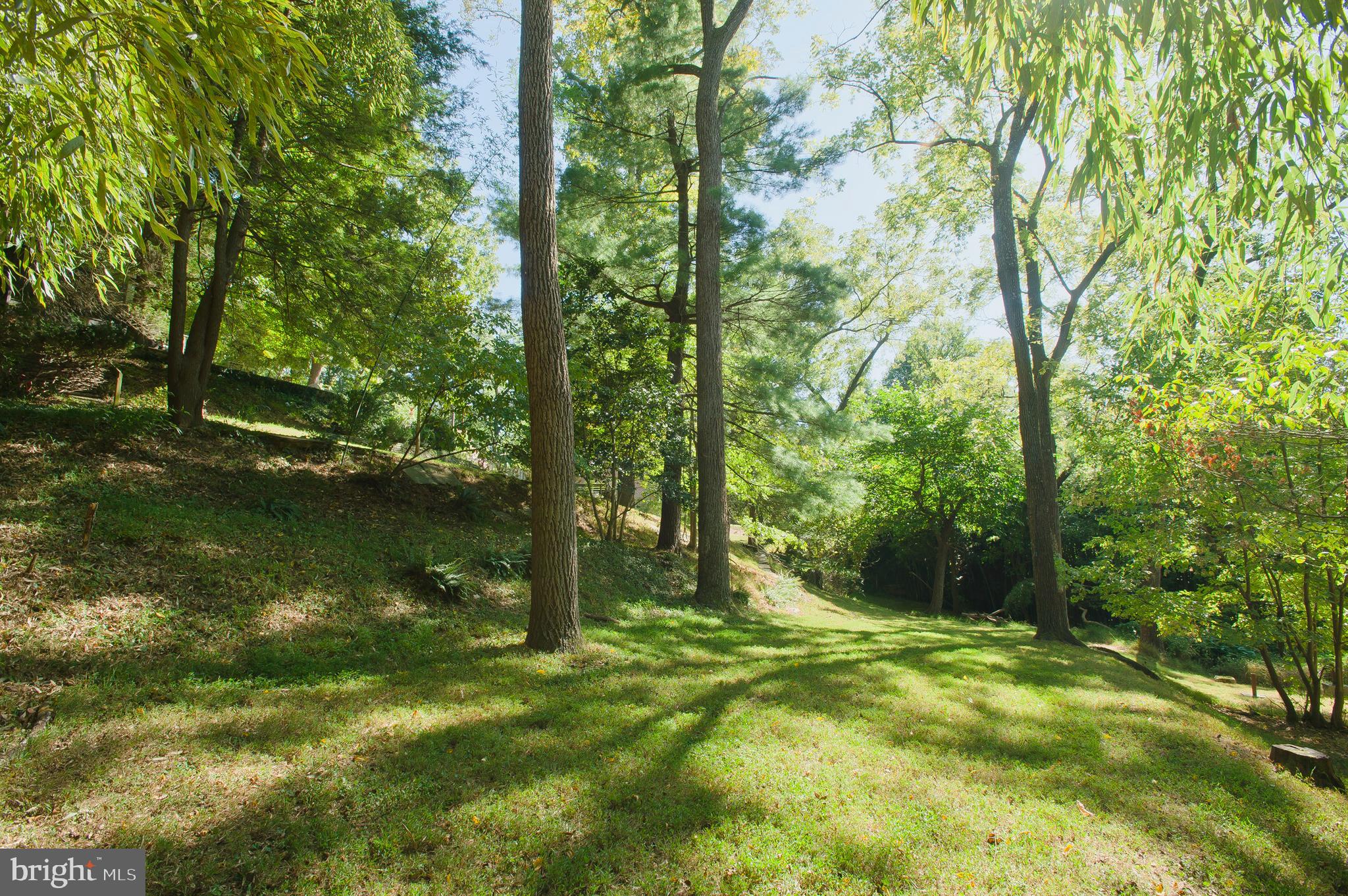 2680 Chain Bridge Road Northwest Washington, DC 20016 - Photo 12 of 12