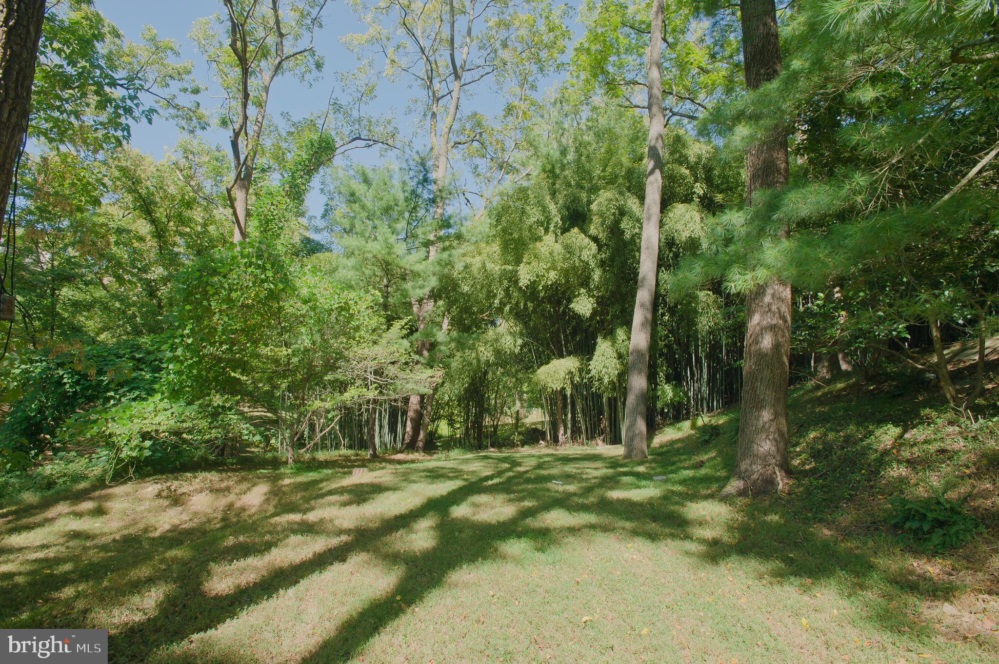 2680 Chain Bridge Road Northwest Washington, DC 20016 - Photo 8 of 12