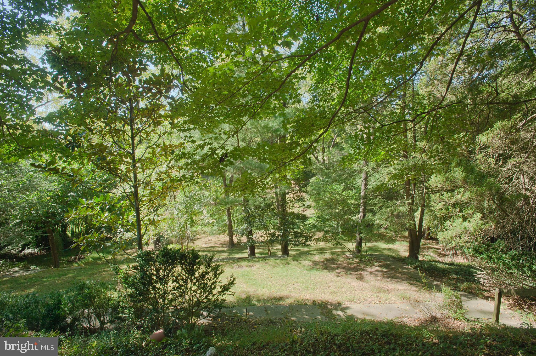 2680 Chain Bridge Road Northwest Washington, DC 20016 - Photo 9 of 12