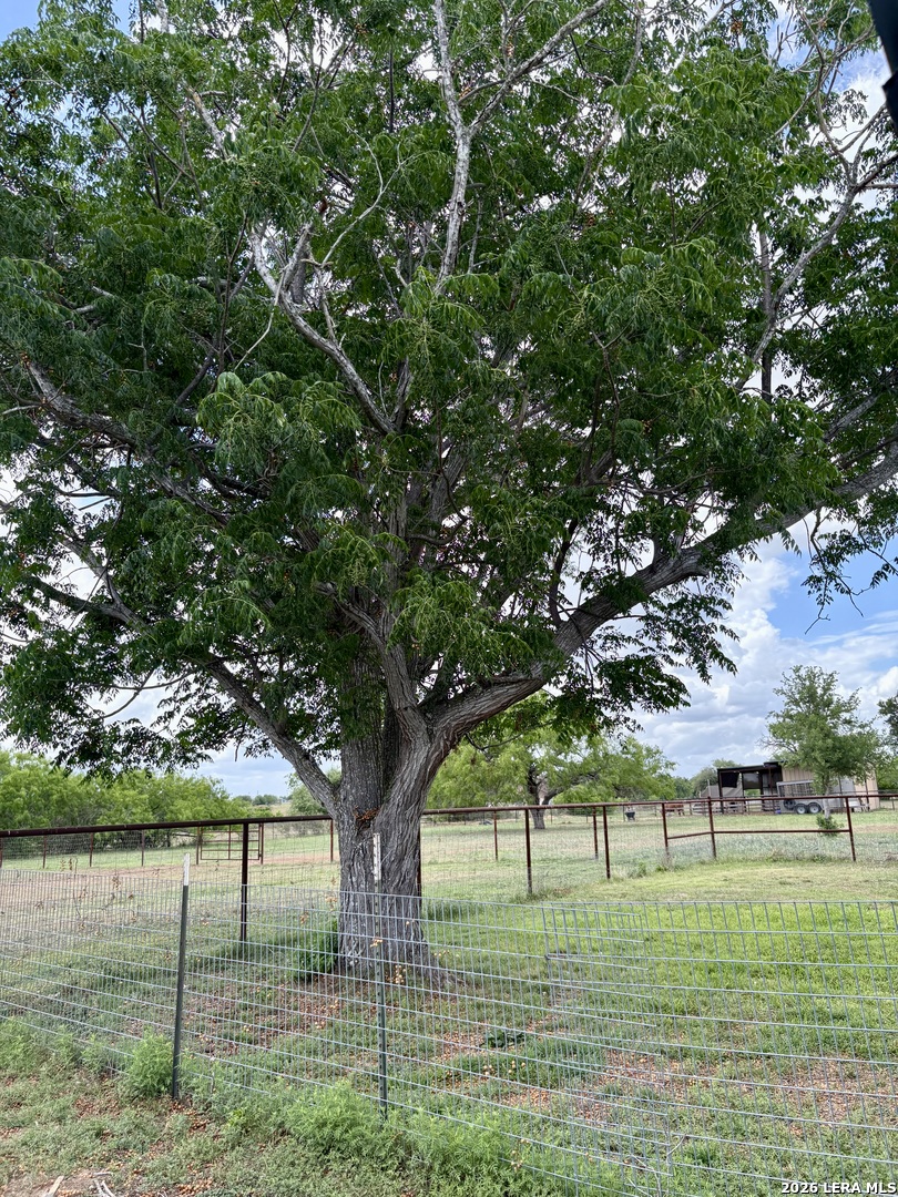 199 Old Campbell Road Seguin, TX 78155 - Photo 33 of 35