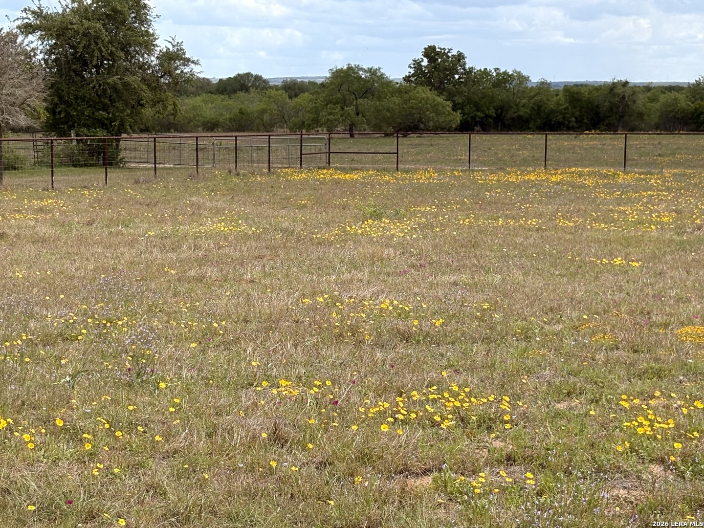 199 Old Campbell Road Seguin, TX 78155 - Photo 35 of 35