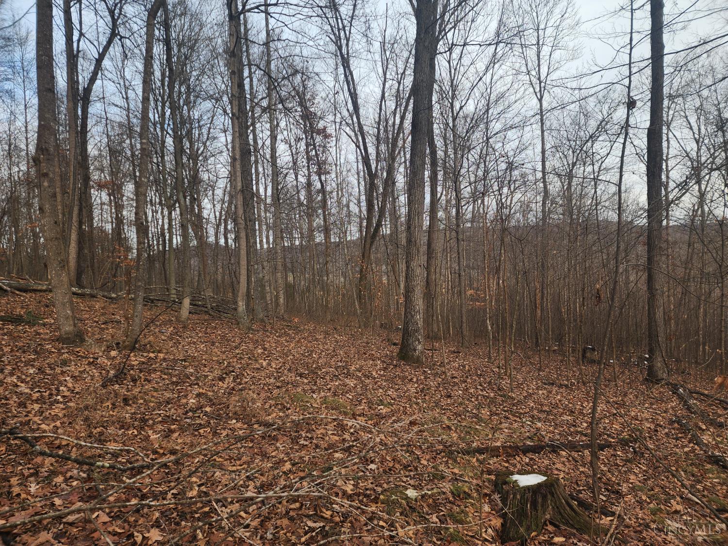 4655 Grassy Fork Road Peebles, OH 45660 - Photo 18 of 30