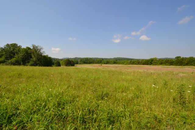 2 Roberts Road Watertown, TN 37184 - Photo 4 of 14