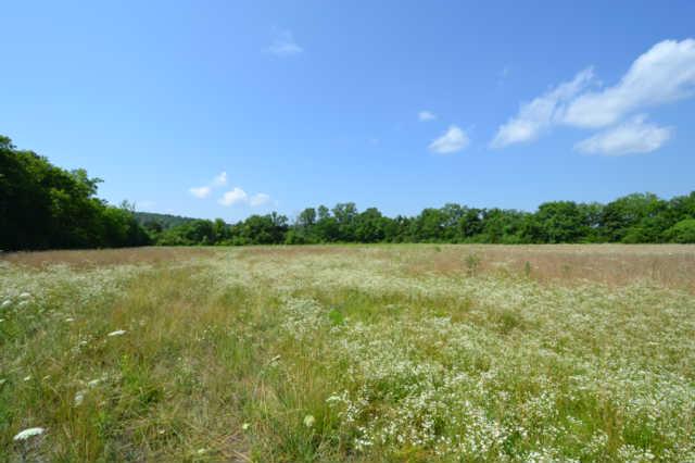 2 Roberts Road Watertown, TN 37184 - Photo 8 of 14