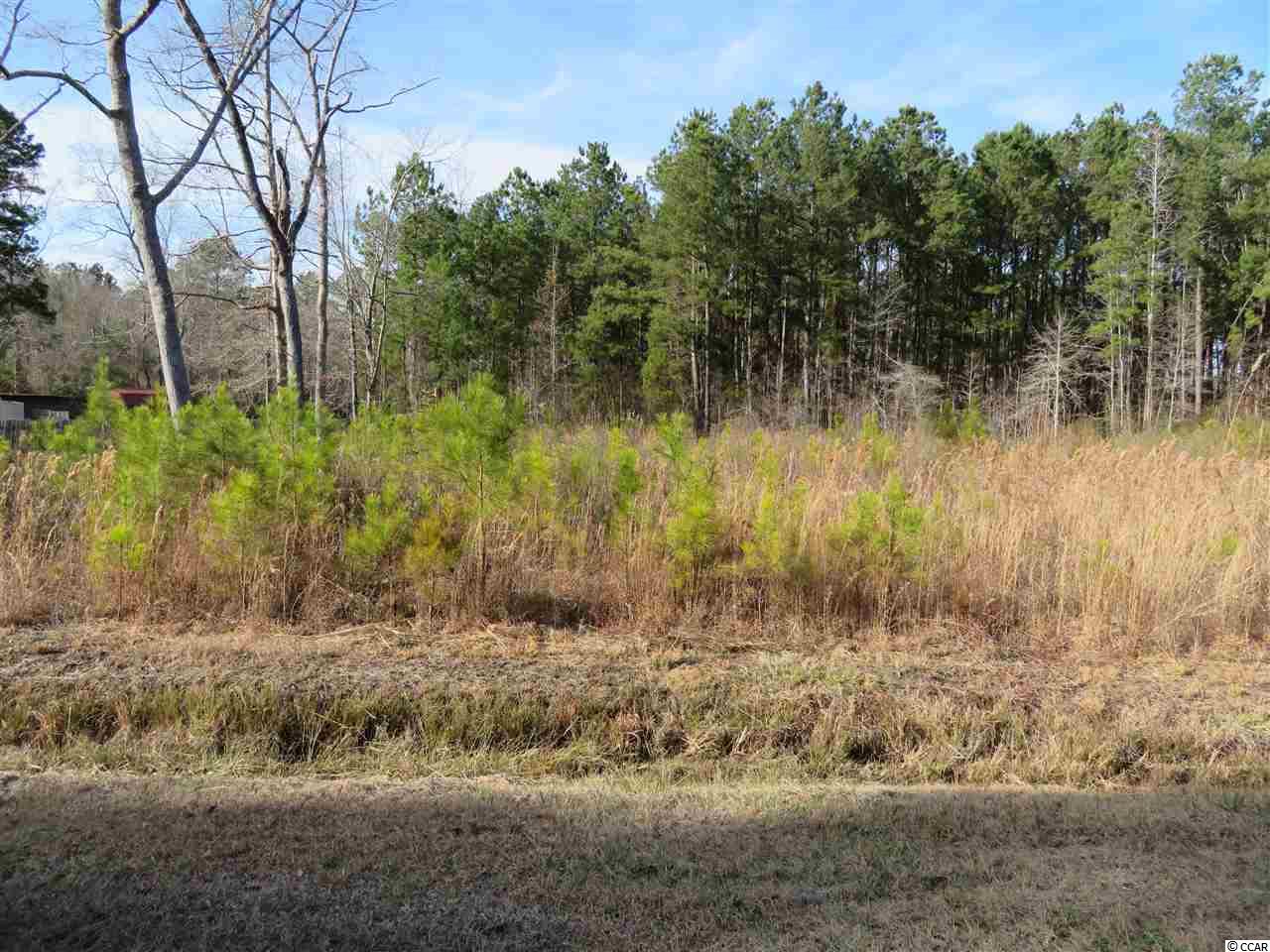 565 Old Pireway Road Conway, SC 29526 - Photo 1 of 9 Gallery Image 1