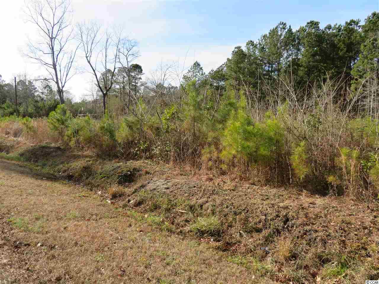 565 Old Pireway Road Conway, SC 29526 - Photo 3 of 9 Gallery Image 3