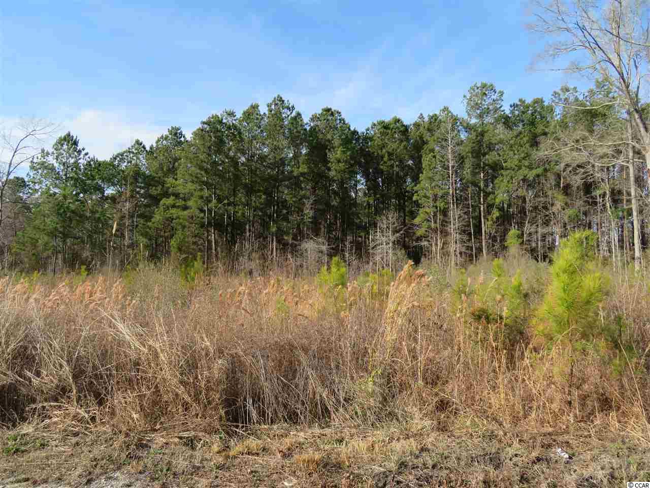 565 Old Pireway Road Conway, SC 29526 - Photo 4 of 9 Gallery Image 4