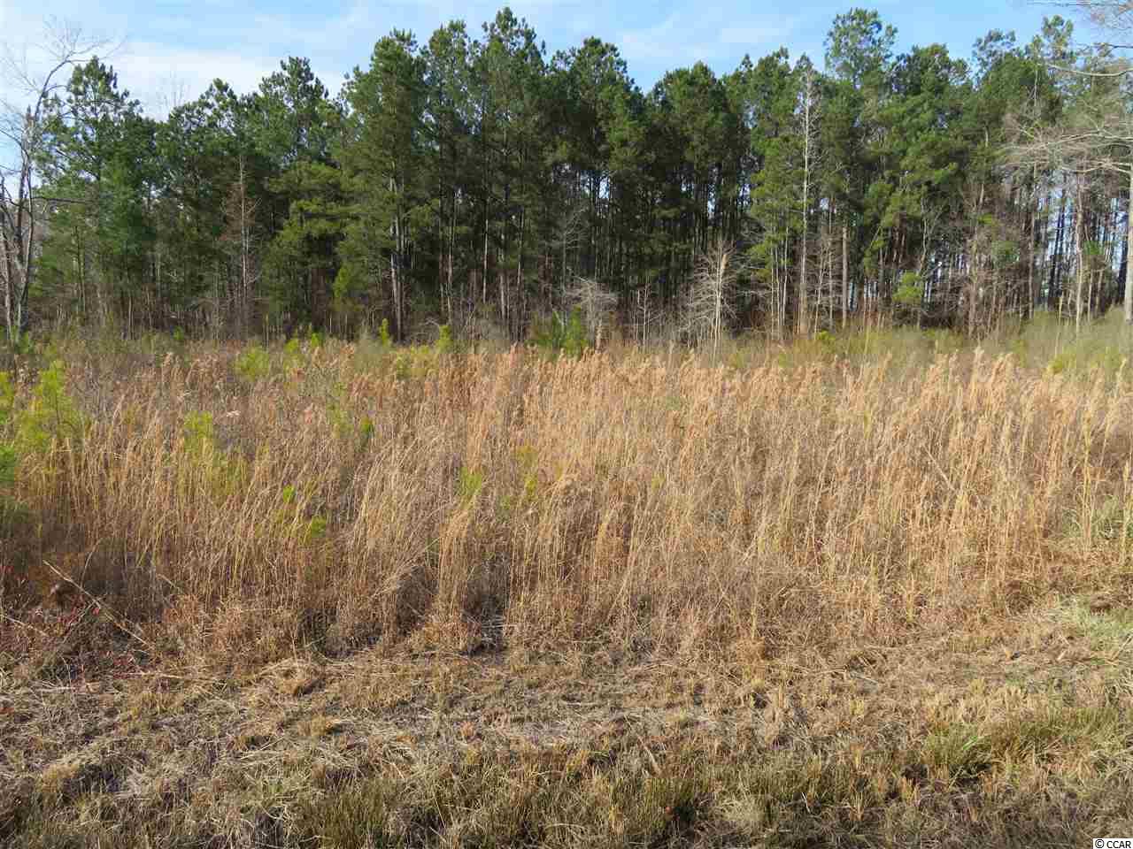 565 Old Pireway Road Conway, SC 29526 - Photo 5 of 9 Gallery Image 5