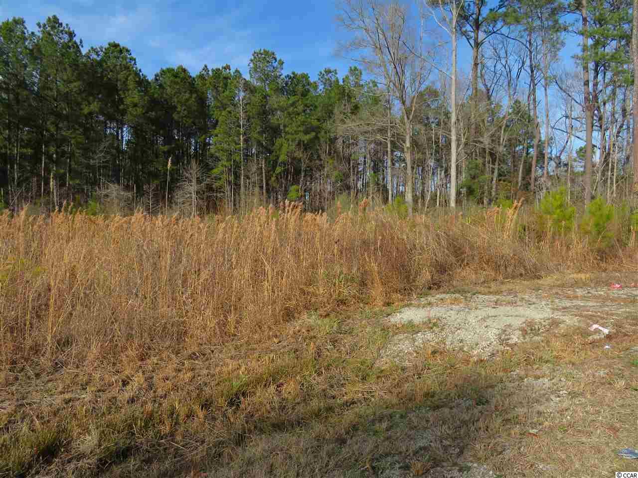 565 Old Pireway Road Conway, SC 29526 - Photo 8 of 9 Gallery Image 8
