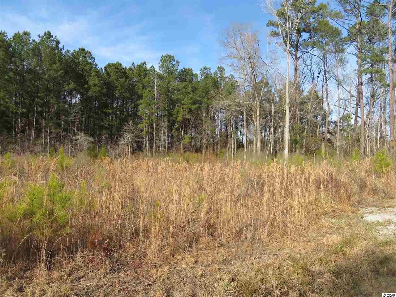 565 Old Pireway Road Conway, SC 29526 - Photo 9 of 9 Gallery Image 9