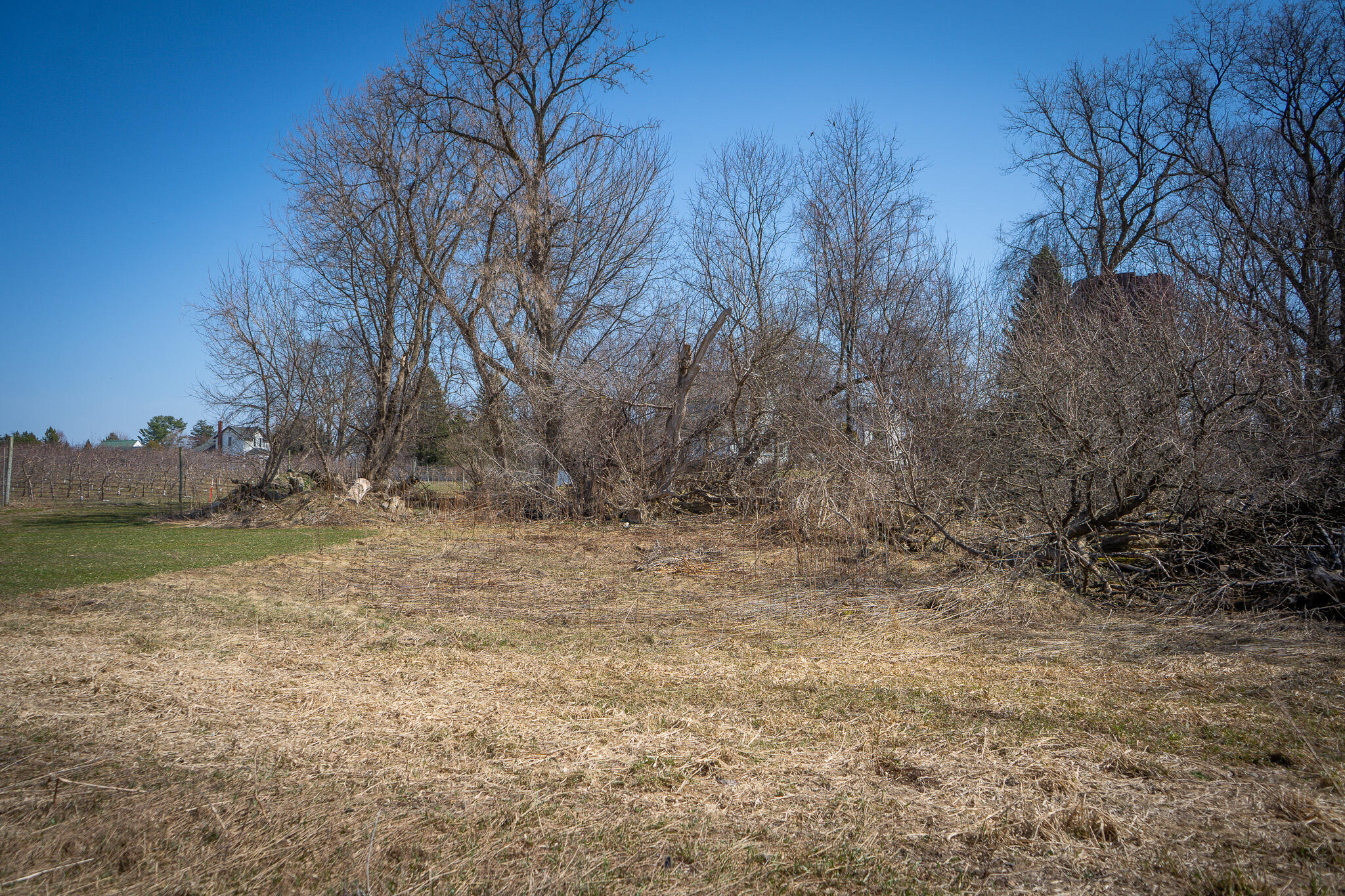 3338 Abbey Road Hart, MI 49420 - Photo 76 of 80 DSC07955