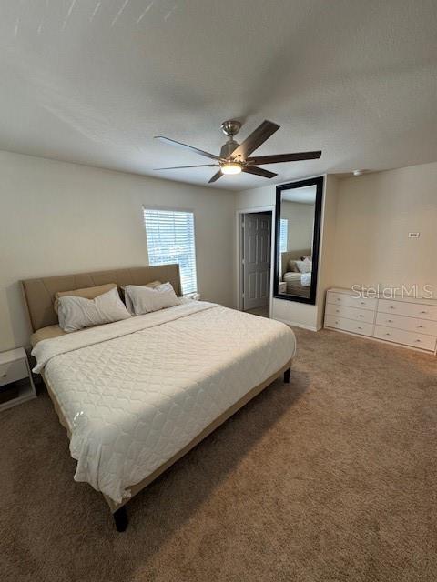 4632 Chatterton Way Riverview, FL 33578 - Photo 12 of 13 a bedroom with a large bed and a ceiling fan