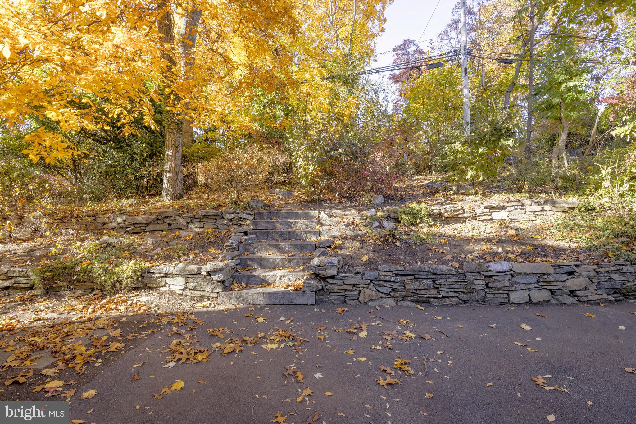 516 Beaver Road Glenside, PA 19038 - Photo 34 of 39 a view of outdoor space and a yard