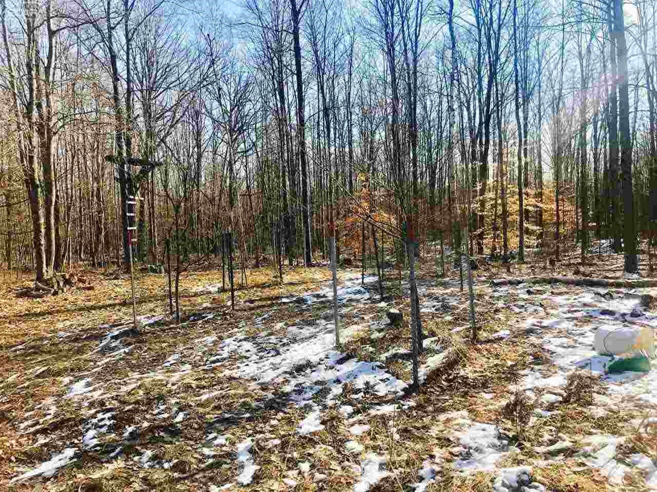 0 North Stark Road Hope, MI 48628 - Photo 52 of 89