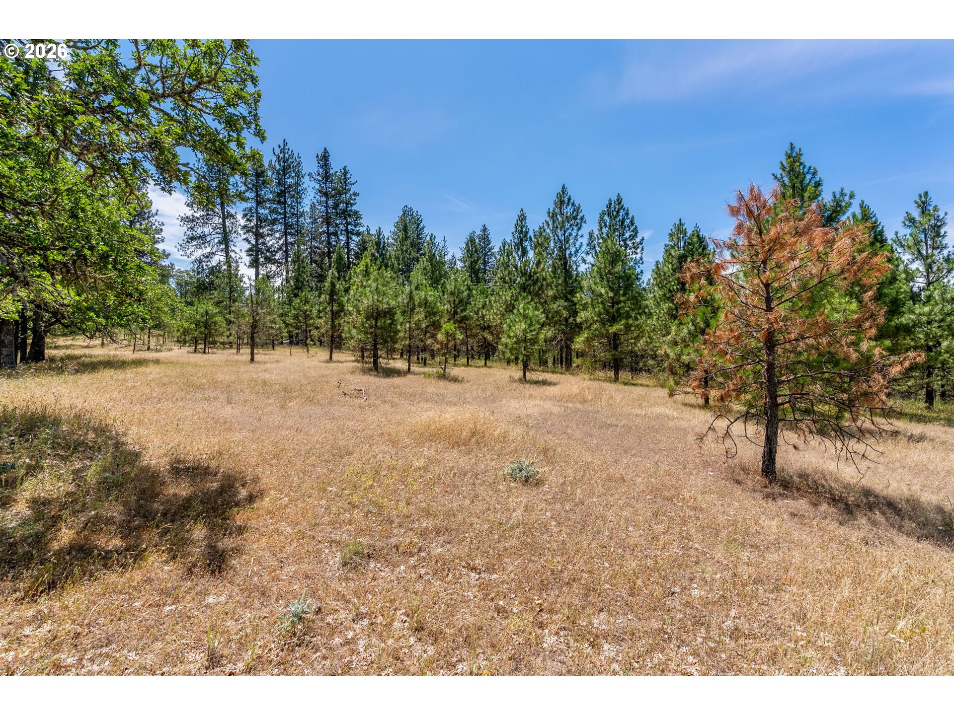 Rowland Road Lyle, WA 98635 - Photo 5 of 19