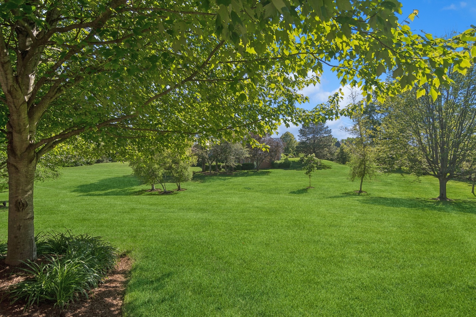 610 West Windsor Road Palatine, IL 60067 - Photo 47 of 51 a big yard with lots of green space and fountain