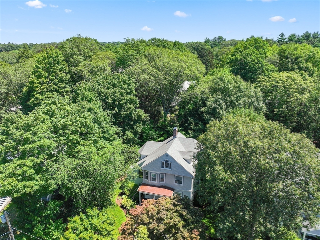 34 Chestnut Terrace Newton, MA 02459 - Photo 14 of 17