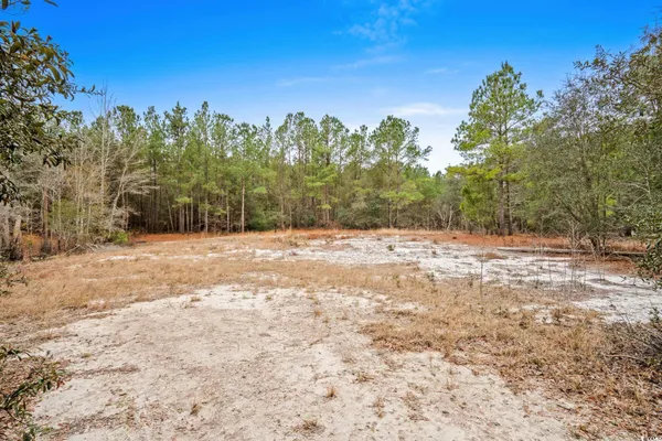 $50,000 | 108 Dero Lane, Galivants Ferry, SC 29544