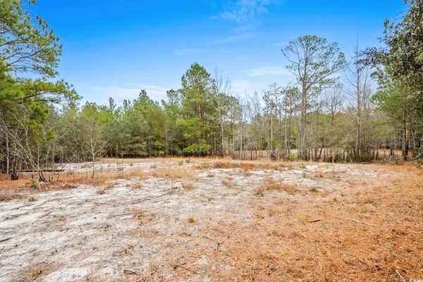 $50,000 | 108 Dero Lane, Galivants Ferry, SC 29544