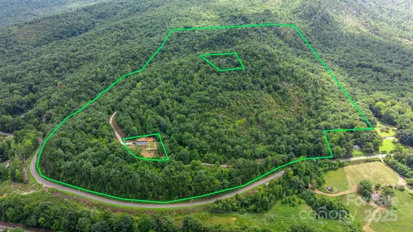 a view of a forest