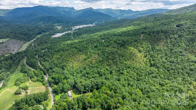 a view of a lush green forest with lush green forest