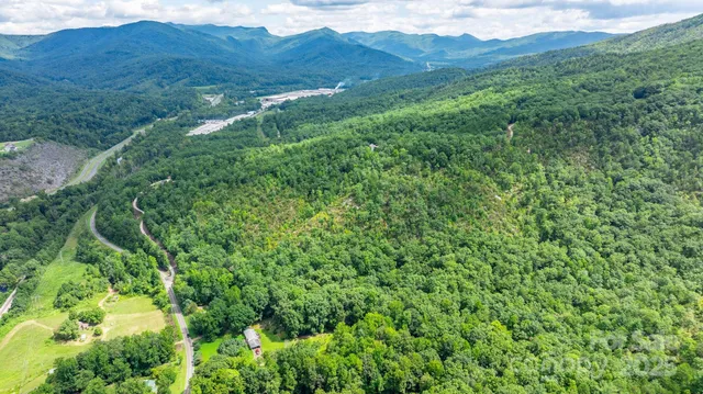 a view of a lush green forest with lush green forest