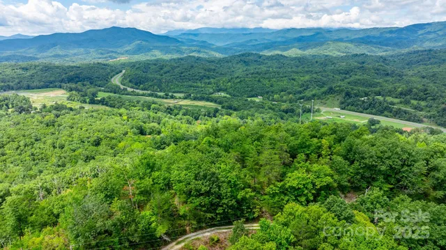 a view of a lush green forest with trees in the background