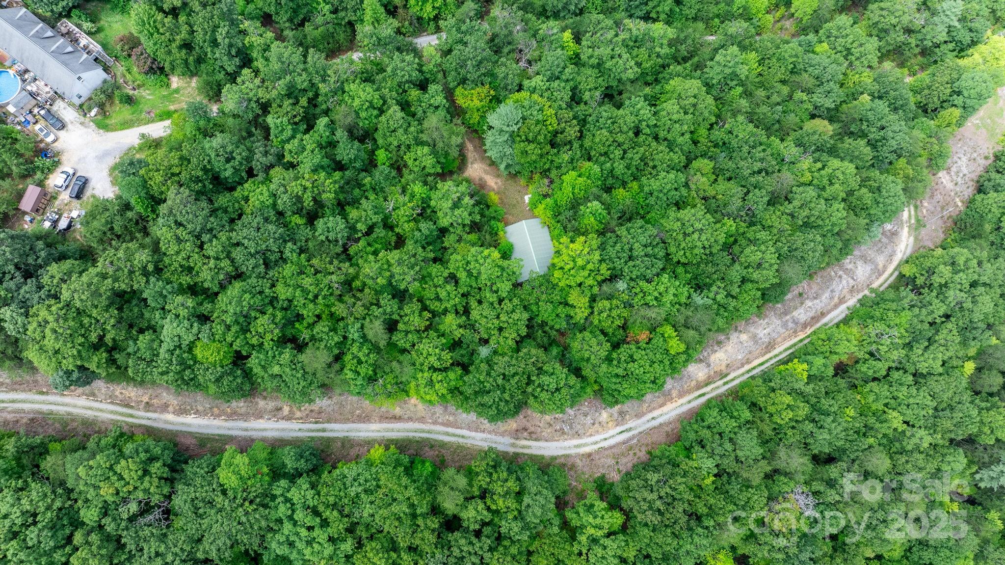 Tbd Old Linville Road Marion, NC 28752 - Photo 15 of 29 a view of flowers in a garden