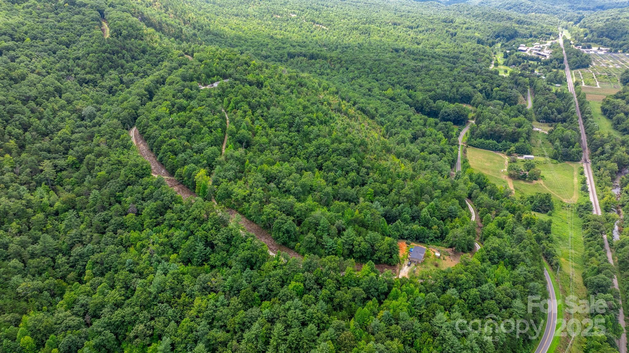 Tbd Old Linville Road Marion, NC 28752 - Photo 17 of 29 a view of a lush green forest