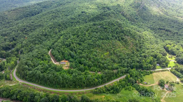 a view of a forest with a street view