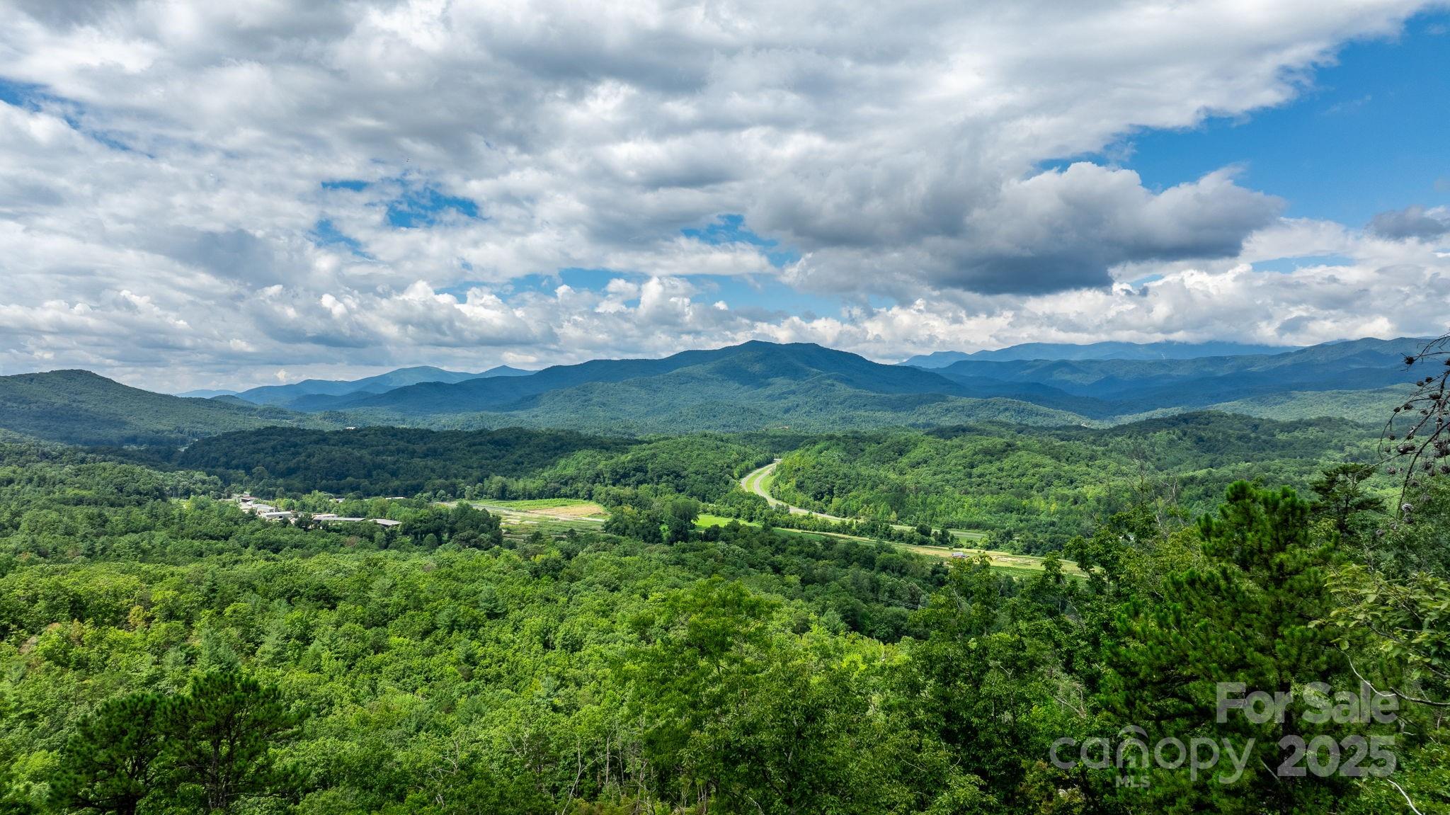 Tbd Old Linville Road Marion, NC 28752 - Photo 2 of 29 a view of a bunch of trees