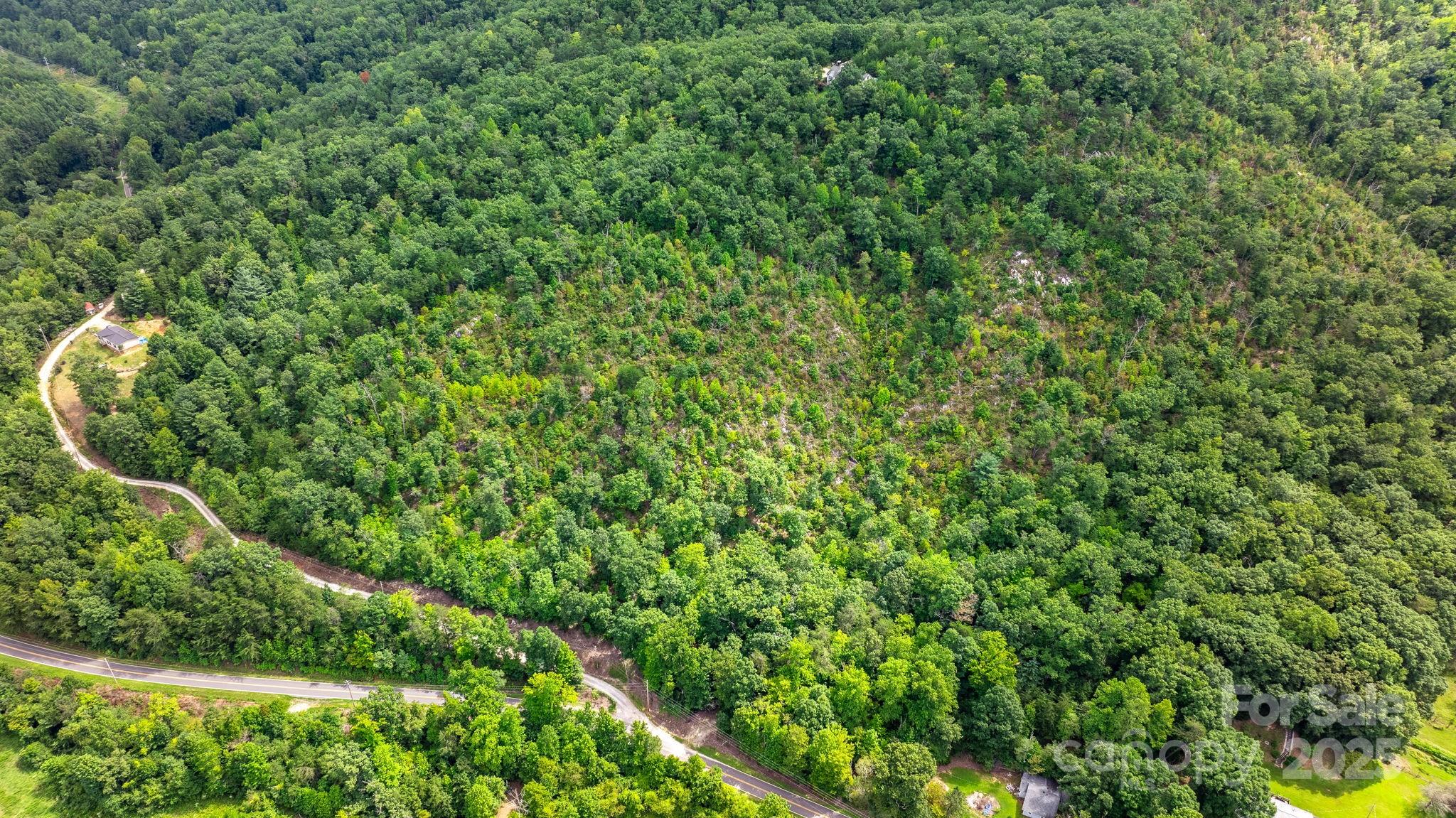 Tbd Old Linville Road Marion, NC 28752 - Photo 21 of 29 a view of a yard with a tree