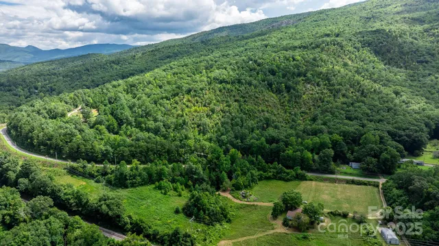 a view of a garden with a lake