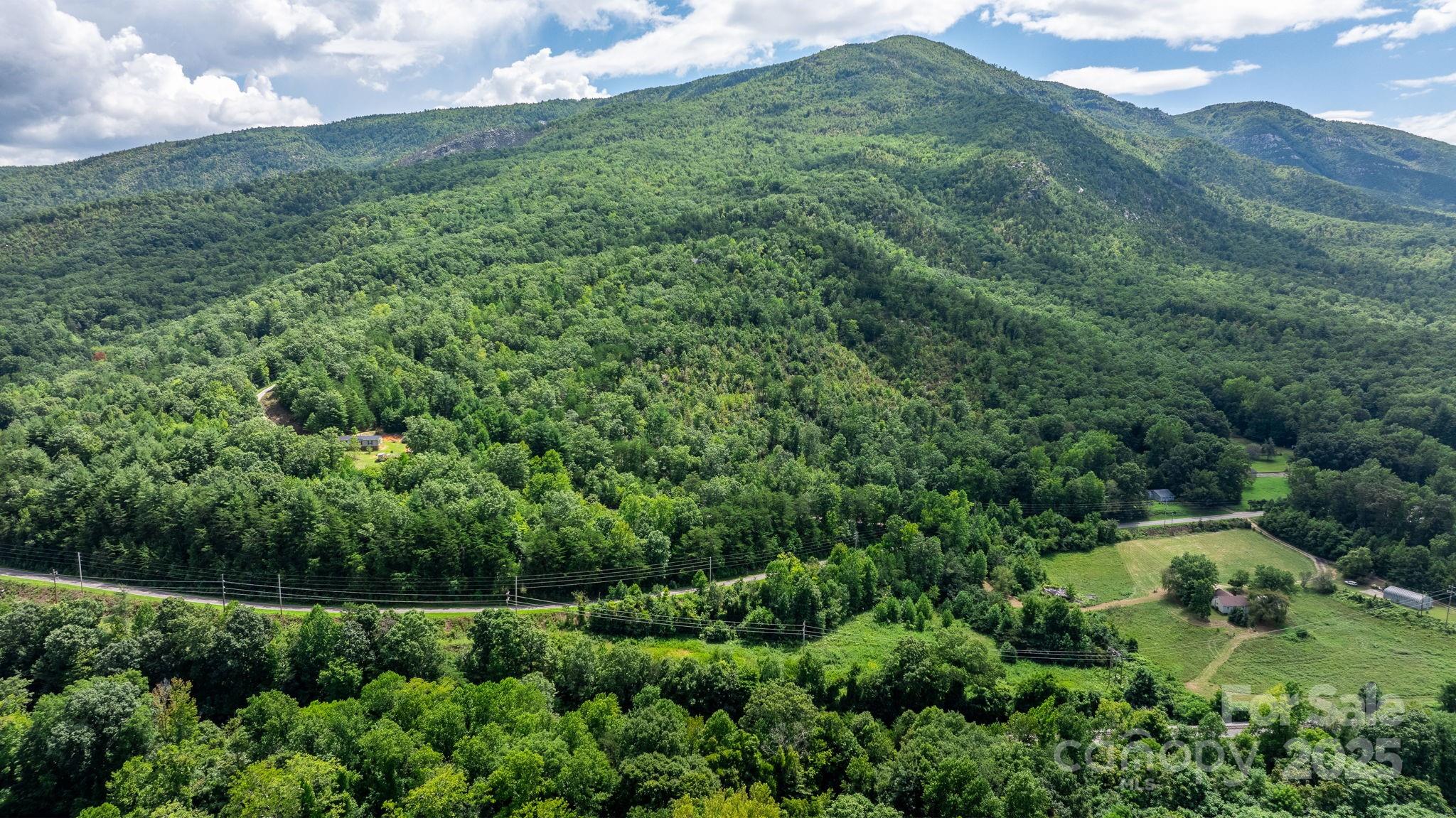 Tbd Old Linville Road Marion, NC 28752 - Photo 25 of 29 an aerial view of a houses with a yard